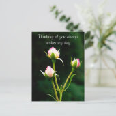 Een rozenknopbloem briefkaart (Staand voorkant)