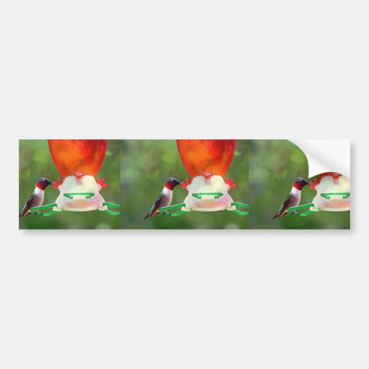 Een ruby Throated Hummingbird Bumpersticker (Voorkant)