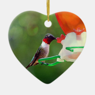 Een ruby Throated Hummingbird Keramisch Ornament