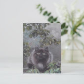 Een rustige plek - Kitten en Spiderweb Briefkaart (Staand voorkant)