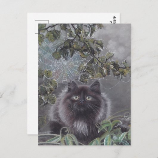 Een rustige plek - Kitten en Spiderweb Briefkaart (Voorkant / Achterkant)