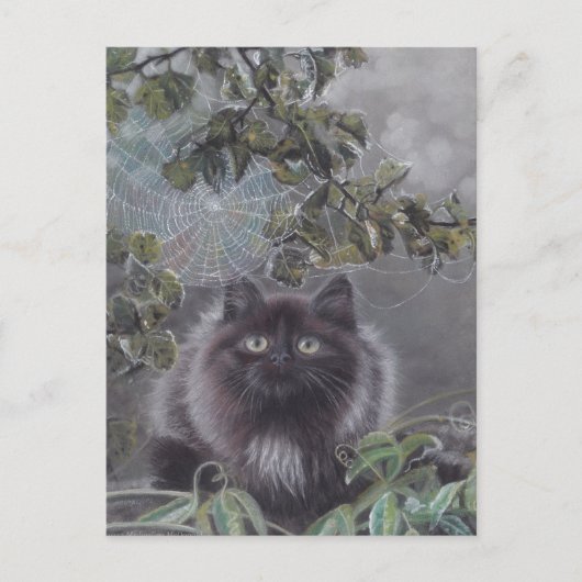 Een rustige plek - Kitten en Spiderweb Briefkaart (Voorkant)