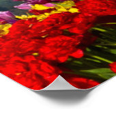 een samengeperst uitzicht van Mt Hood, Oregon en t Poster (Hoek)