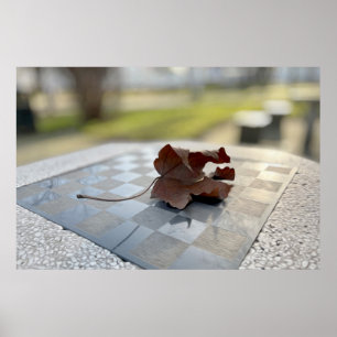 Een schaakles poster