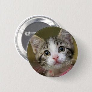 Een schattig katje met groene ogen ronde button 5,7 cm
