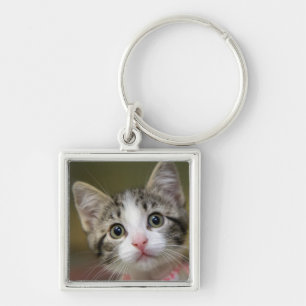 Een schattig katje met groene ogen sleutelhanger