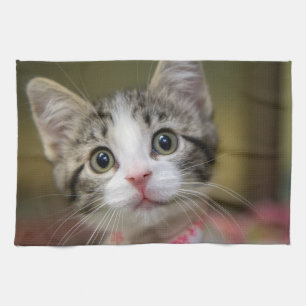 Een schattig katje met groene ogen theedoek