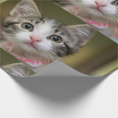 Een schattig kitten met groene ogen cadeaupapier (Hoek)
