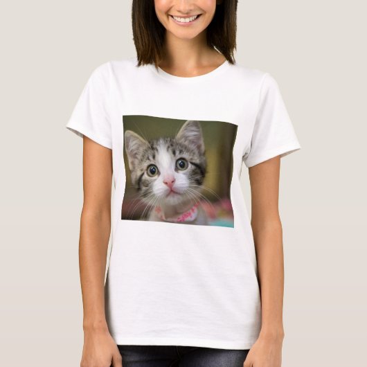 Een schattig kitten met groene ogen t-shirt (Voorkant)