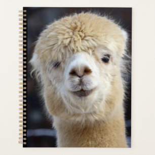 Een schattig pluizig gezicht van een alpaca planner