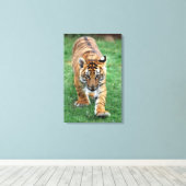 Een schattige baby tijger canvas afdruk (Insitu (Houten vloer))