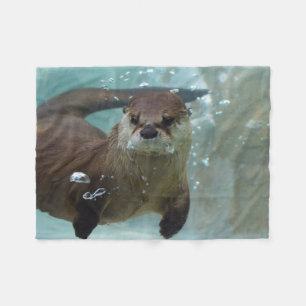 Een schattige bruine otter zwemmen in een helder b fleece deken