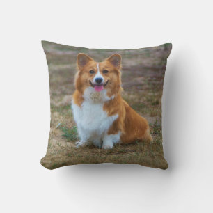 Een schattige Corgi-hond gooit kussen