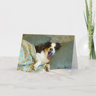 Een schattige krijgen goed kaart, hond foto bedankkaart