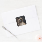 Een schattige Siamese poes met parelmoer en kettin Vierkante Sticker (Envelop)