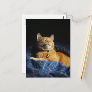 Een Schattige Slaperige Oranje Kat Briefkaart