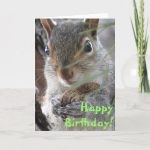 Een Schattigee eekhoorn groef een pinda Happy Birt Kaart