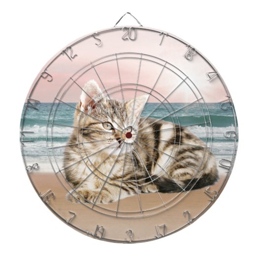 Een Schattigee Gestreepte Kat Zittend op Strand me Dartbord (Voorkant)