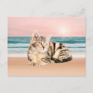 Een schattigere gestreepte kat die op het strand z briefkaart