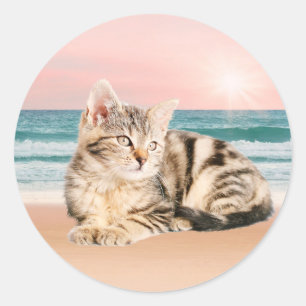 Een schattigere gestreepte kat zittend op het stra ronde sticker