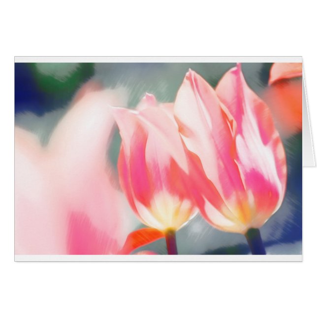 Een schets van Tulipa Duo (Voorkant Horizontaal)