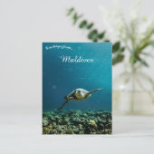 Een schildpad in de buurt van de Malediven Briefkaart (Staand voorkant)