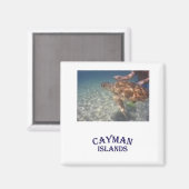 Een schildpad voeden magneet (Voorkant / Achterkant)