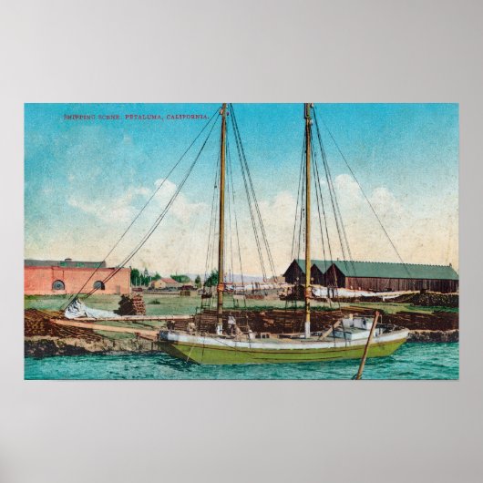 Een Schooner ScenePetaluma, CA Poster (Voorkant)