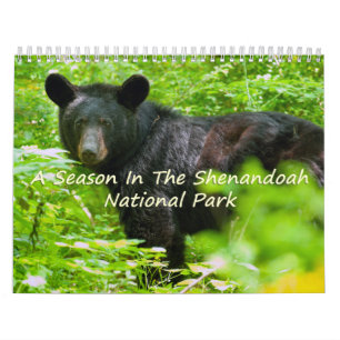 Een seizoen in Shenandoah Nat. Park Raven Version Kalender
