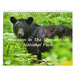 Een seizoen in Shenandoah Nat. Park Raven Version Kalender