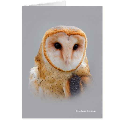 Een Serene en een mooie Barn Owl (Voorkant)