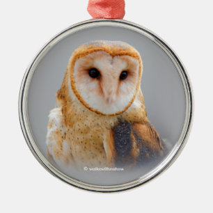Een Serene en een mooie Barn Owl Metalen Ornament