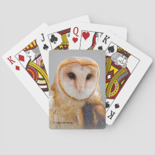 Een Serene en een mooie Barn Owl Pokerkaarten