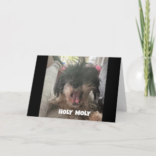 EEN SERIEUZE HOND ZEGT "GELUKKIGE 40E VERJAARDAG" KAART