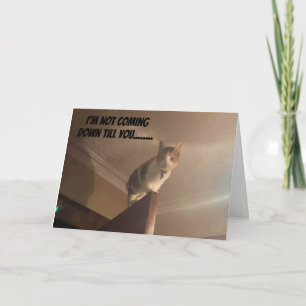 EEN SERIEUZE KAT ZEGT "GELUKKIGE VERJAARDAG" KAART
