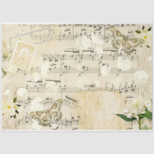 Een Shabby Chic Serie Design 2 Tissuepapier