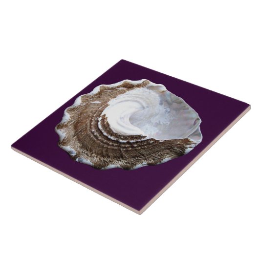 Eén shell-element tegeltje (Zijkant)