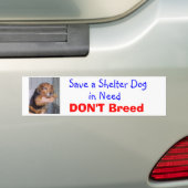 Een Shelter Dog opslaan in Behoefte — Paxton Bumpersticker (Op auto)