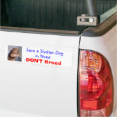 Een Shelter Dog opslaan in Behoefte — Paxton Bumpersticker (Op Truck)