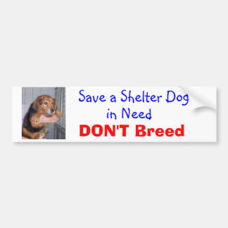 Een Shelter Dog opslaan in Behoefte — Paxton Bumpersticker