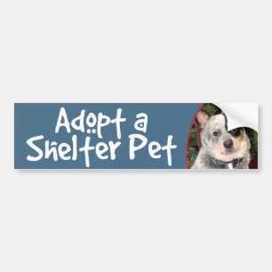 Een Shelter Pet Australian Cattle Dog aannemen Bumpersticker