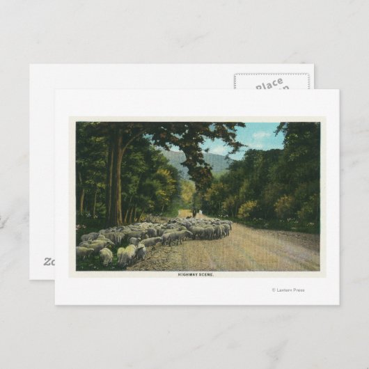 Een Shepherd Leading Sheep op een Maine Highway Briefkaart (Voorkant / Achterkant)