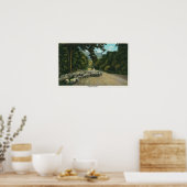 Een Shepherd Leading Sheep op een Maine Highway Poster (Keuken)