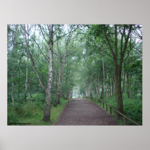 Een Sherwood Forest Path Poster