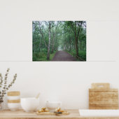 Een Sherwood Forest Path Poster (Keuken)