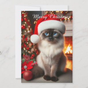Een Siamese kat met een kerstmuts  Feestdagenkaart