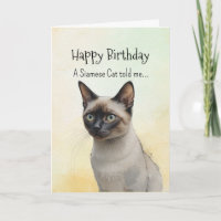 Een Siamese Kat Persoonlijkheid Verjaardag Leuk Di