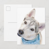 Een Siberian Husky Mix tilt zijn hoofd Briefkaart (Voorkant / Achterkant)
