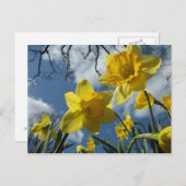 EEN SIGN VAN SPRING BRIEFKAART (Voorkant / Achterkant)