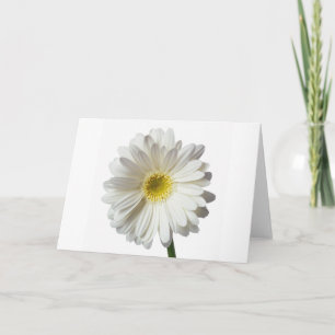 Een Single Daisy voor jou en de Kankerstrijder Bedankkaart